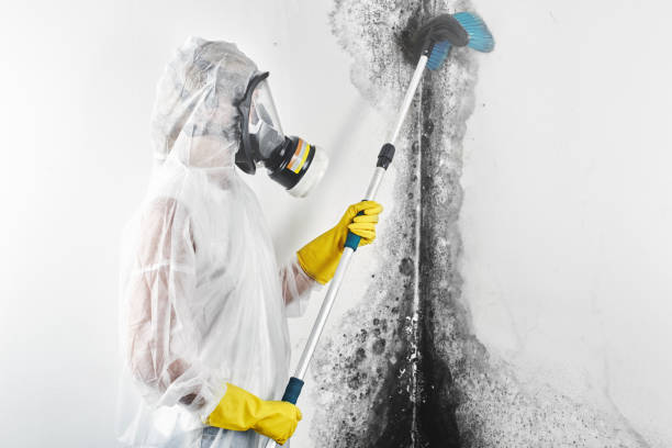 Best Mold Remediation for Healthcare Facilities  in College Park, GA
