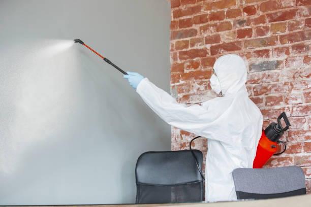 Best Forensic Mold Investigation  in College Park, GA