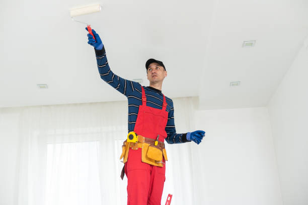 Best Black Mold Removal  in College Park, GA