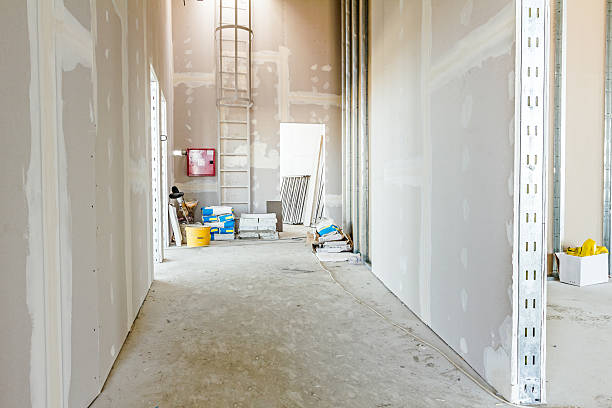 Best Comprehensive Air Testing for Mold Contaminants  in College Park, GA