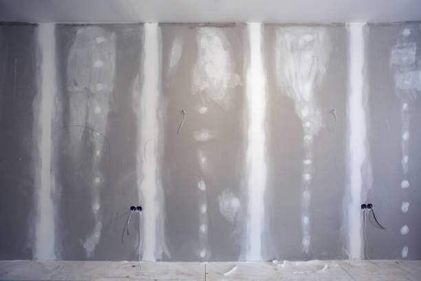 Best Real Estate Mold Inspection  in College Park, GA